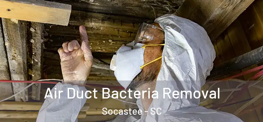 Air Duct Bacteria Removal Socastee - SC