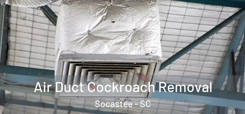  Air Duct Cockroach Removal Socastee - SC