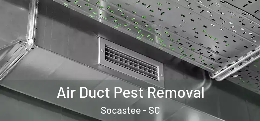 Air Duct Pest Removal Socastee - SC