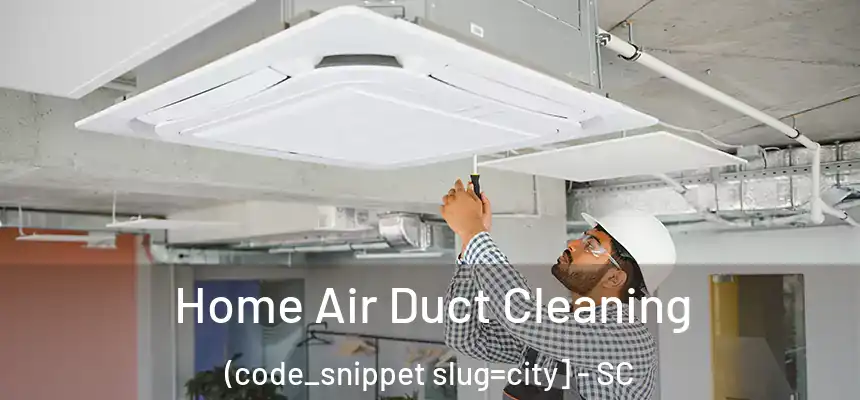  Home Air Duct Cleaning (code_snippet slug=city] - SC