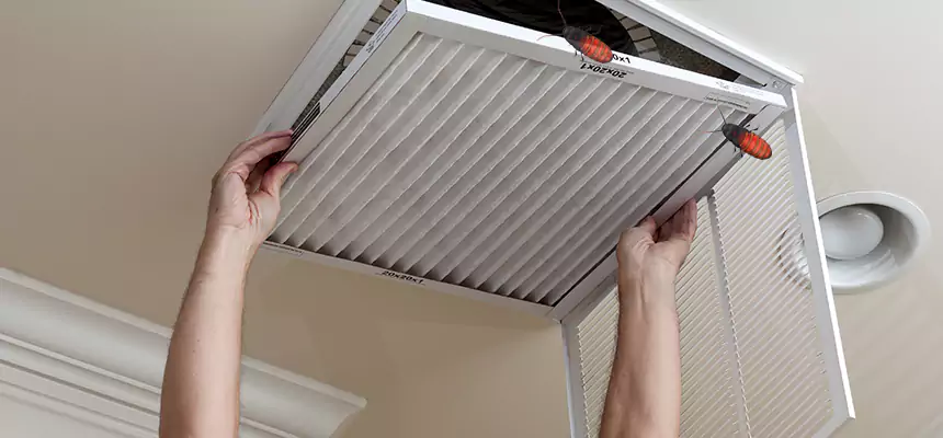 Preventive Cockroach-Proofing for Ducts in Socastee