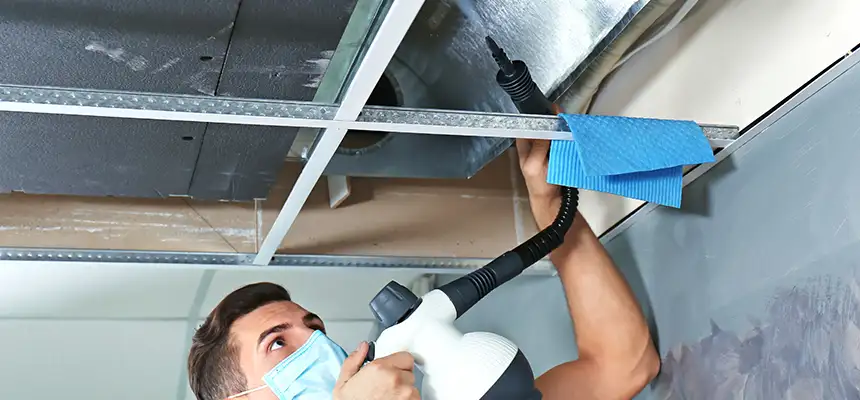 Our Air Duct Rodent Removal Services in Socastee, SC