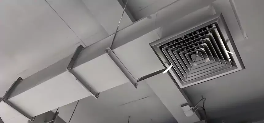 Our Pest Removal From Ducts Services in Socastee, SC