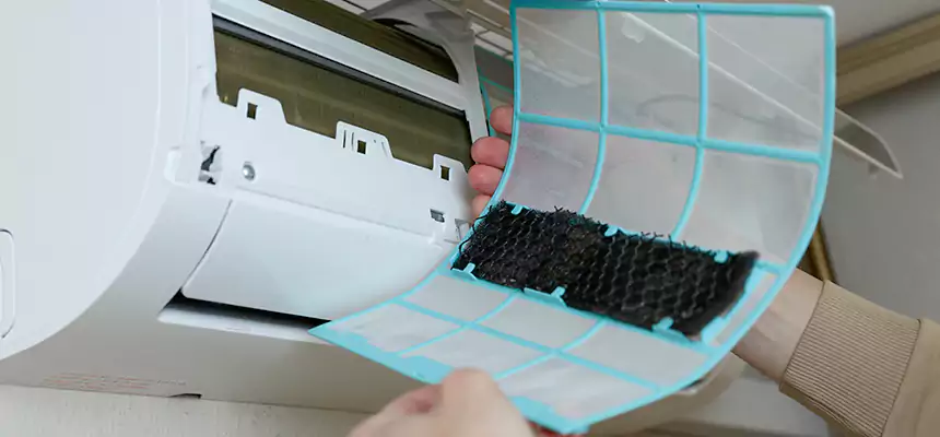 Gentle Ductwork Odor-Control Pet Dander Duct Cleaning in Socastee, SC