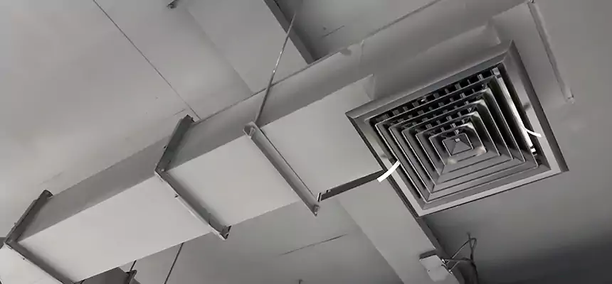 Our Rodent Droppings In Vents Services in Socastee, SC