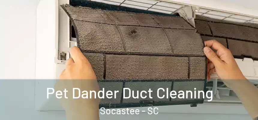 Pet Dander Duct Cleaning Socastee - SC