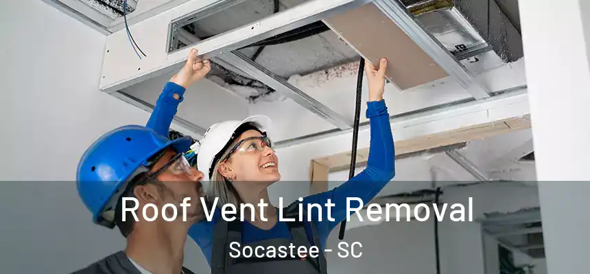  Roof Vent Lint Removal Socastee - SC