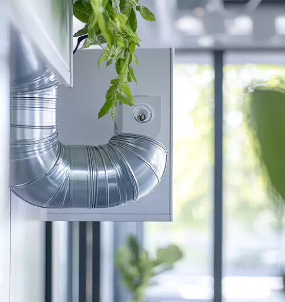 Professional Eco-Safe Dryer Vent Cleaning in Socastee, SC