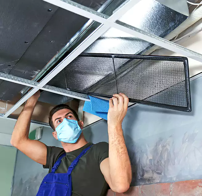 Why Homeowners Businesses Trust Us in Socastee, SC