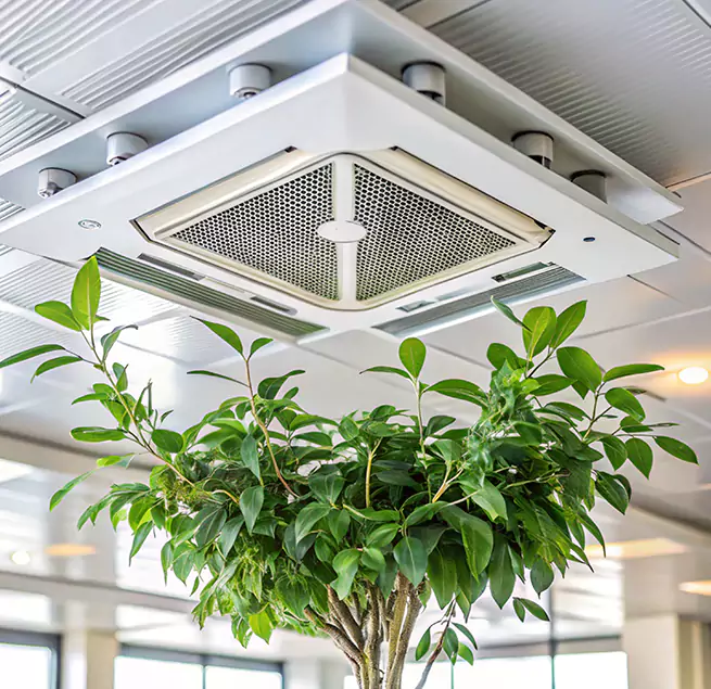 Why Homeowners & Businesses Trust Us in Socastee, SC?