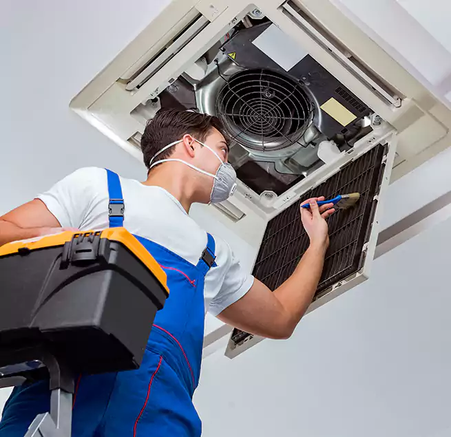 Why Homeowners & Businesses Trust Us in Socastee, SC?